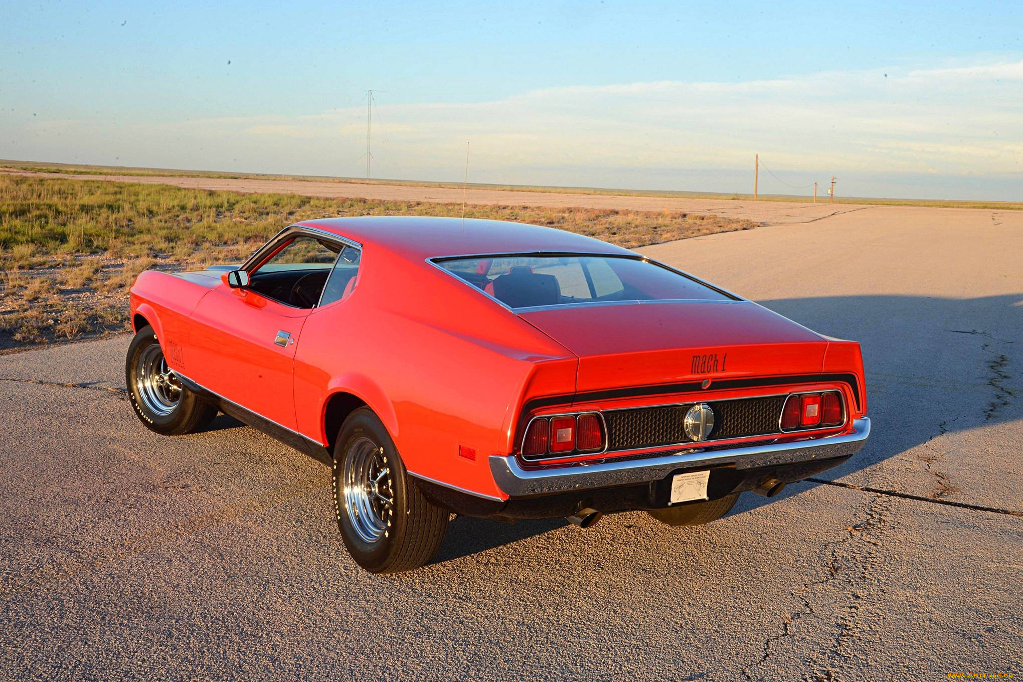 , mustang